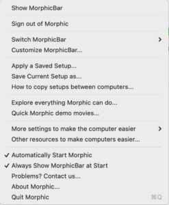 Screenshot of the save and apply Morphic's setups